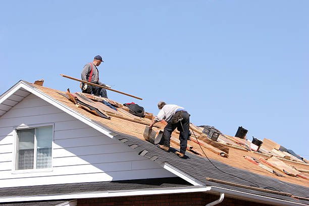 Best Roof Insulation Installation  in London, CA